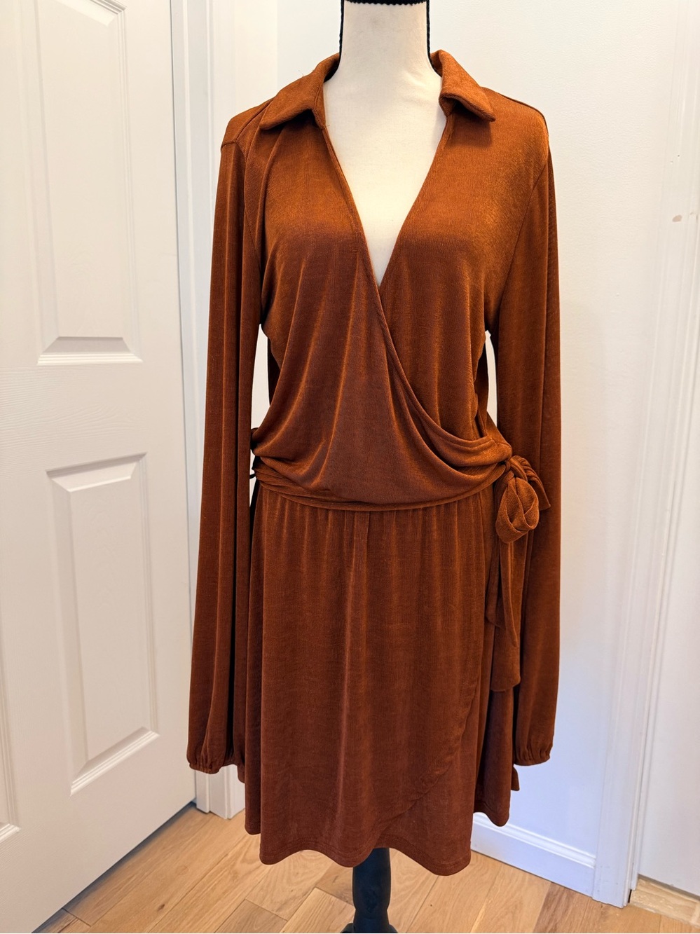 Bailey Rose Wrap-Style Long Sleeve Dress in Rust